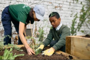 The Quiet Power of Compost