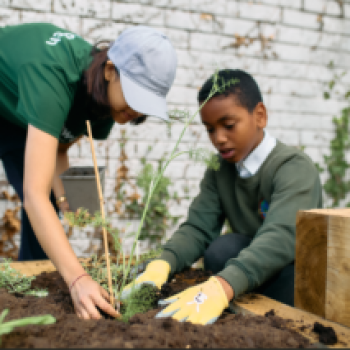 The Quiet Power of Compost