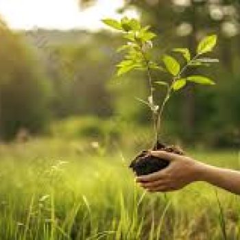 Composting in the Real World